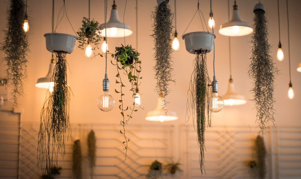 hanging fixtures