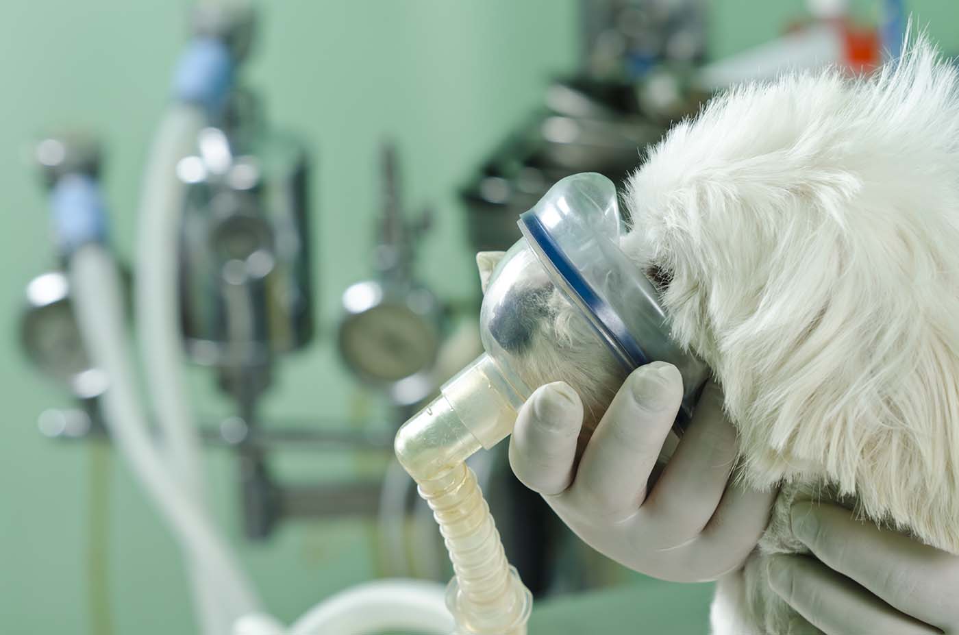 Air Quality & Odor Management​